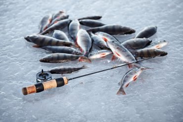 Experience the Thrill of Ice Fishing Live Casino in the UK in United Kigdom